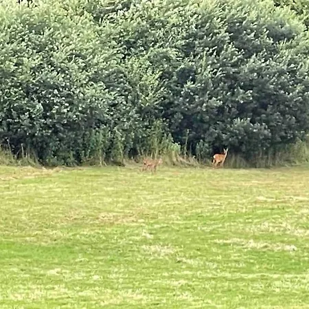 200m2 Avec Nyaraló *