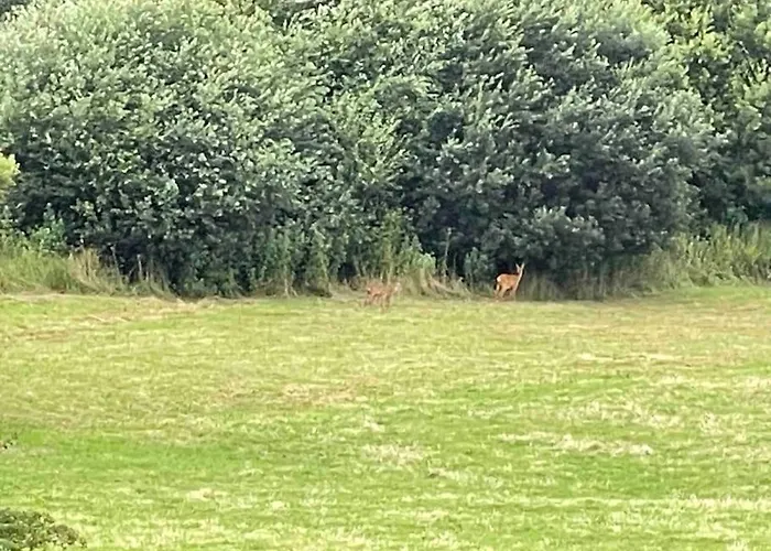 200m2 Avec Casa vacanze *